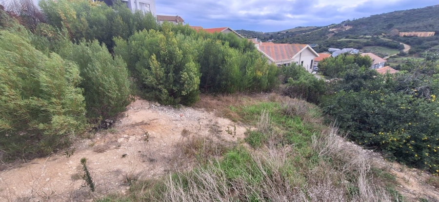 0 Bedroom Property for Sale in Bergsig Western Cape